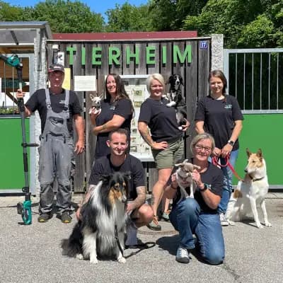 Tierheim Freilassing