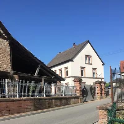 Bild aus Von der Sickingerburg in Rheinland-Pfalz, wo unsere Dobermann-Hunde in einer liebevollen Umgebung aufwachsen.