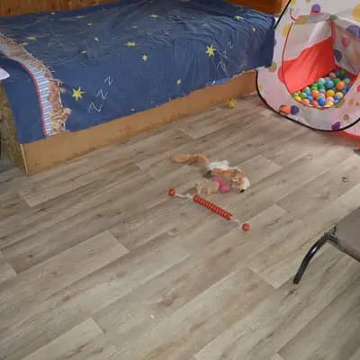 Bild aus Hundemamma`s in Niedersachsen, wo unsere Miniature American Shepherd-Hunde in einer liebevollen Umgebung aufwachsen.