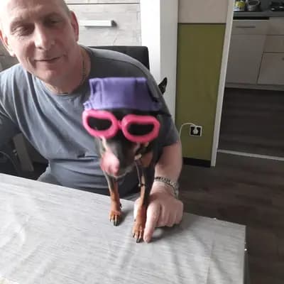 Galerie-Bild von Hundezucht vom Bagno in Nordrhein-Westfalen, mit Eindrücken unserer Prager Rattler-Zucht.