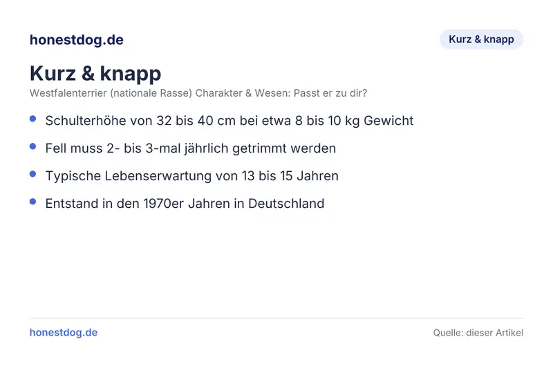 Westfalenterrier (nationale Rasse) Charakter & Wesen: Passt er zu dir Infografik: kurz & knapp