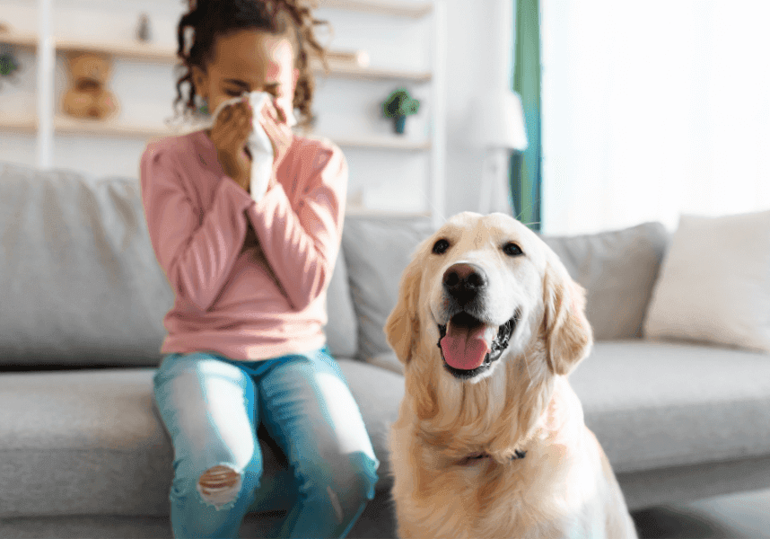 Hundeglück trotz Allergie? Gibt es einen Hund für Allergiker?