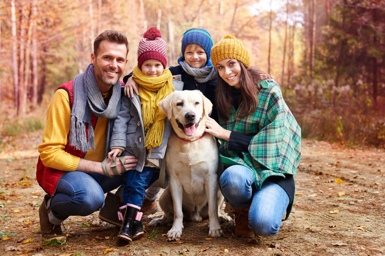 Familienhunde - 3 Hundetypen, von denen man absehen sollte