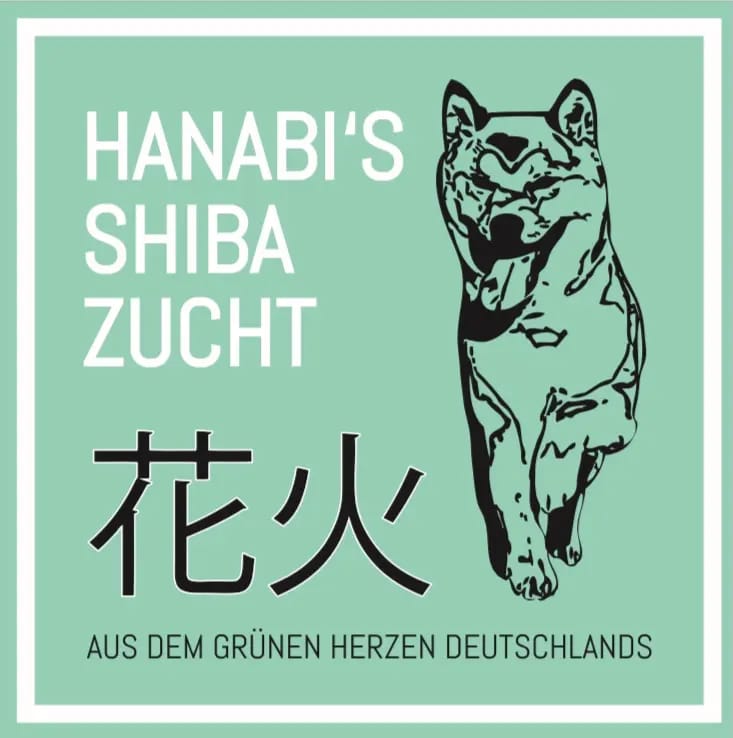 HANABI‘S Shibas  gallery image 2