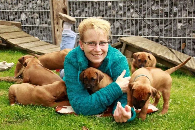 Mashambani Rhodesian Ridgebacks gallery image 4