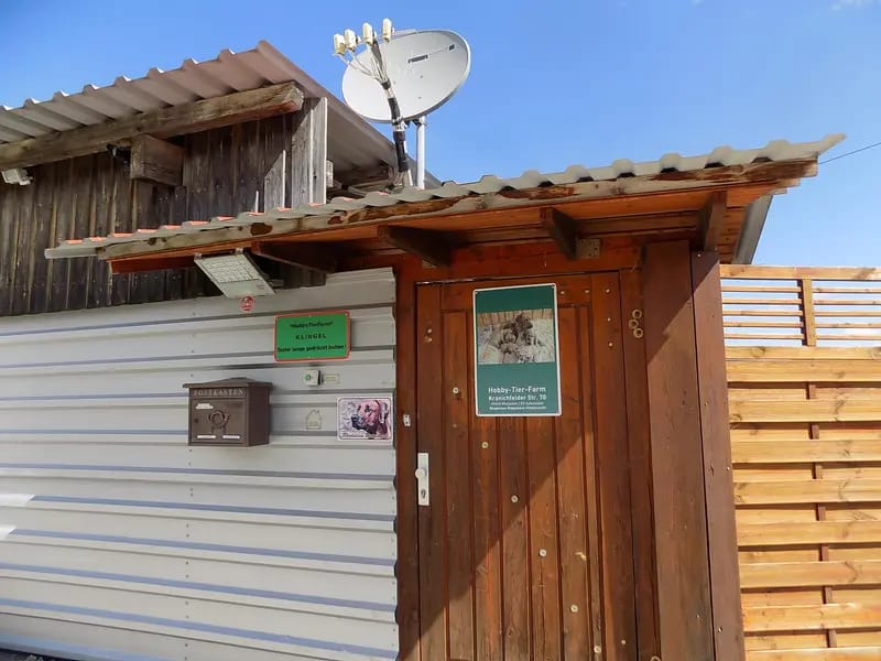 Kennel: RRR of Mombasa1 Reinrassige-Rhodesian-Ridgeback.Farm gallery image 3