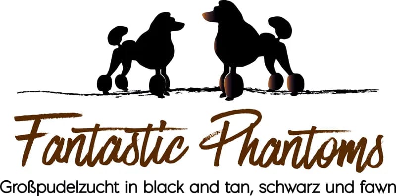 Fantastic Phantoms gallery image 3