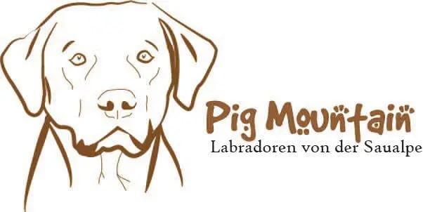 April of Pig Mountain gallery image 2