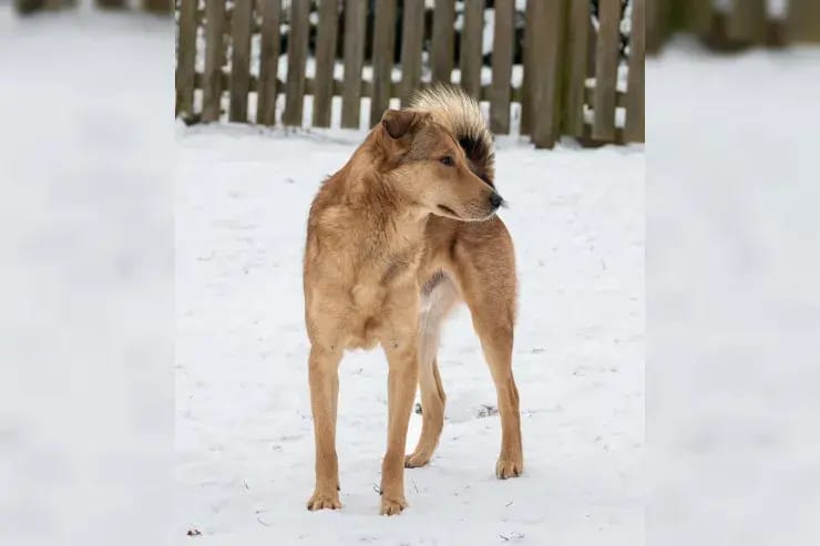 Frederik gallery image 2