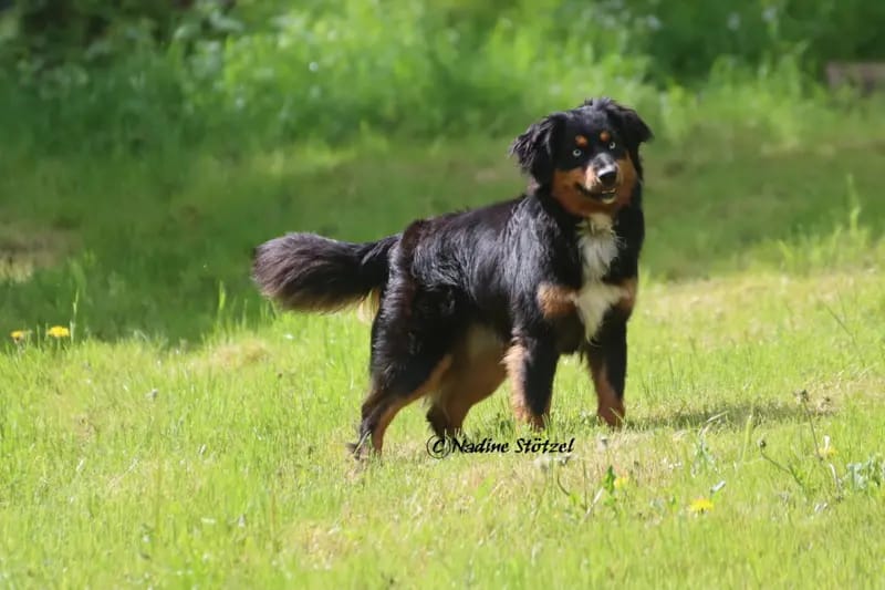 Max gallery image 3