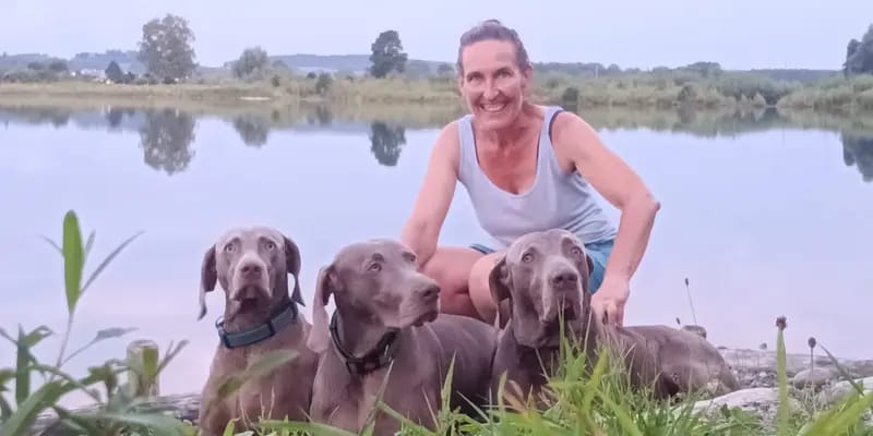 Weimaraner vom Neufnachtal gallery image 3