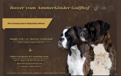 Happy-Evje von der Moerser Grafschaft gallery image 2