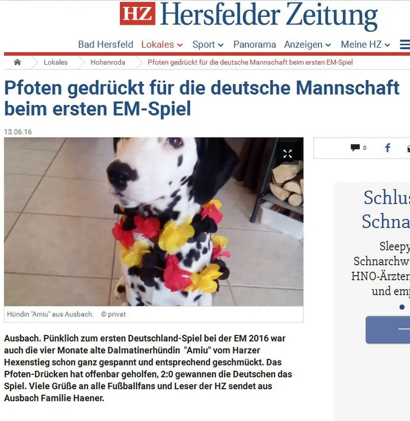Aurelius – Dalmatiner Puppy – Photo 2