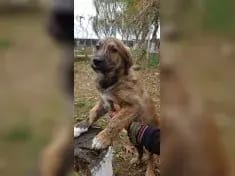 Jonny gallery image 4