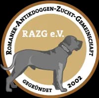 Juma vom römischen Reich gallery image 2