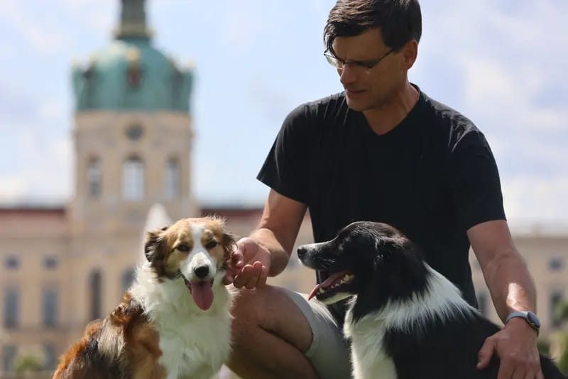 Border Collies of Little Swan Flow gallery image 2