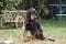 Black Devil's You're My Inspiration gallery image 2