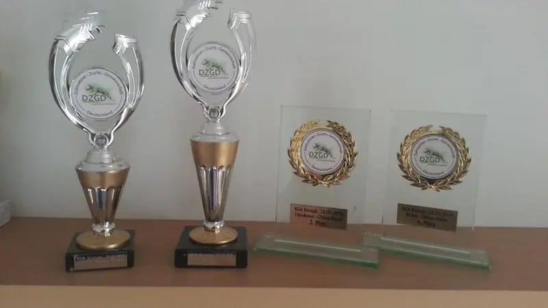 Aramis gallery image 2
