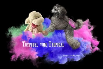 Lynn vom Tropical gallery image 2