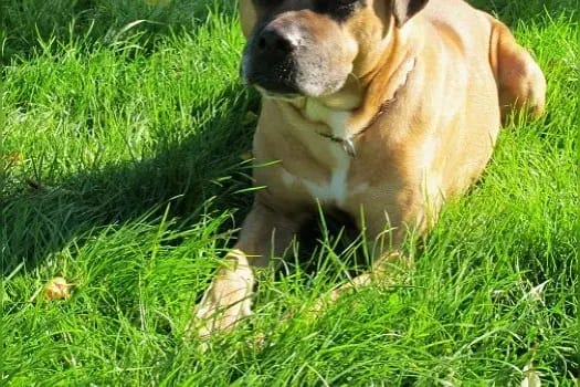 Brian gallery image 3