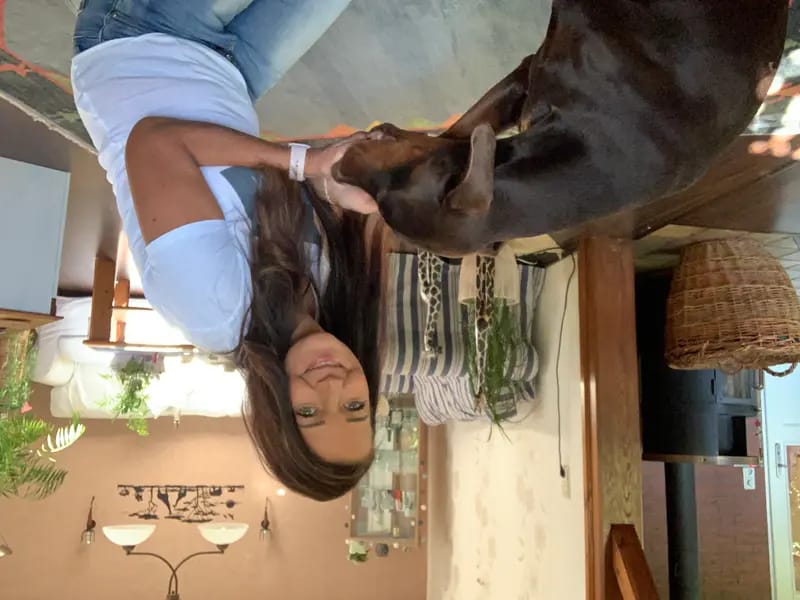 Dobermann Kennel of Fascinating Dogs gallery image 4