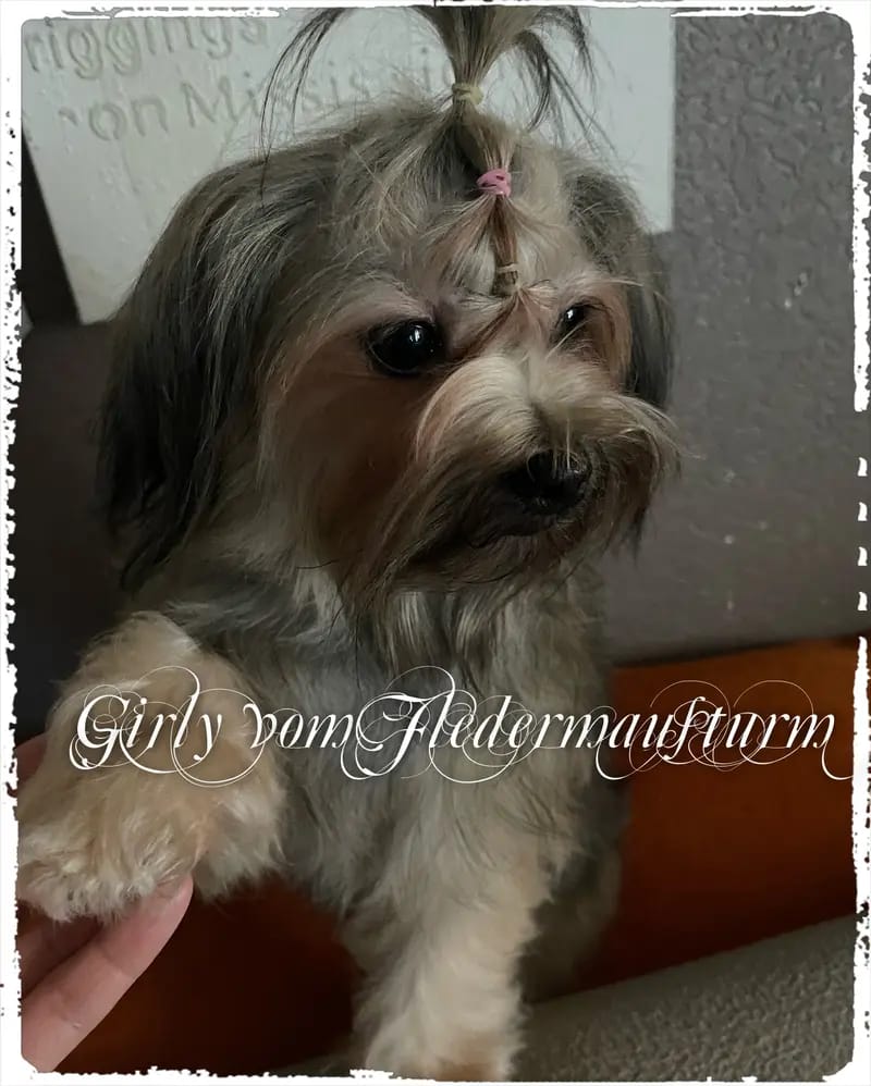Girlie vom Fledermausturm  gallery image 2