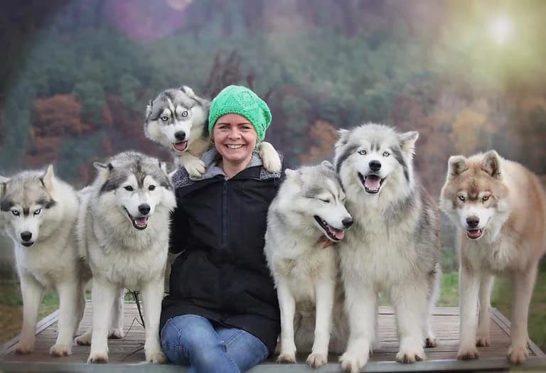 Patricia - HonestDog Züchter