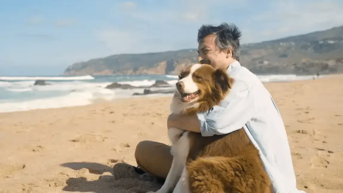 Background image showing dogs