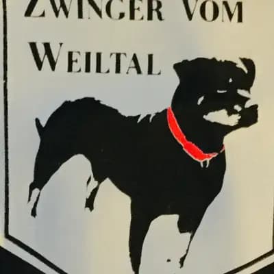 Heinz