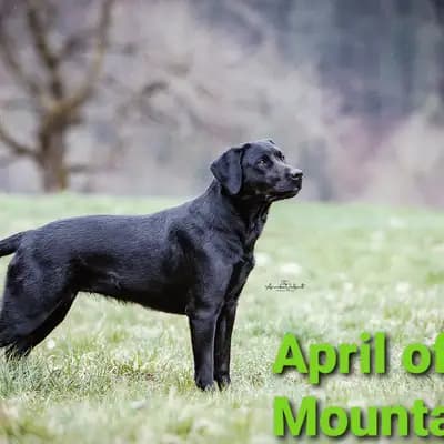 APRIL