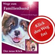 Ohlala – Elo Welpe, Bayern, 由...饲养 Elo®-Zuchtstätte von Werths Echte