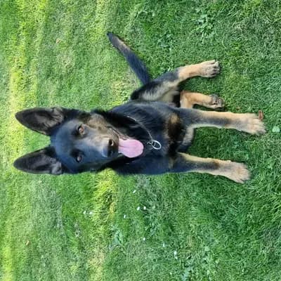 Lothar