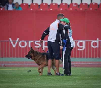 D-Wurf Rüde – Deutscher Schäferhund Welpe, Nordrhein-Westfalen, 由...饲养 Schäferhunde vom Haus Nesgen