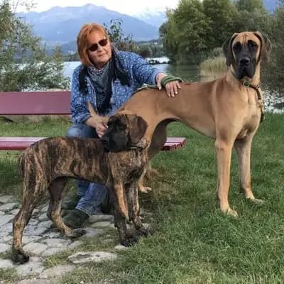Sonja
