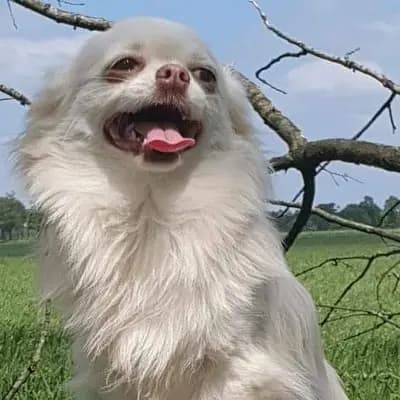 Unbekannt