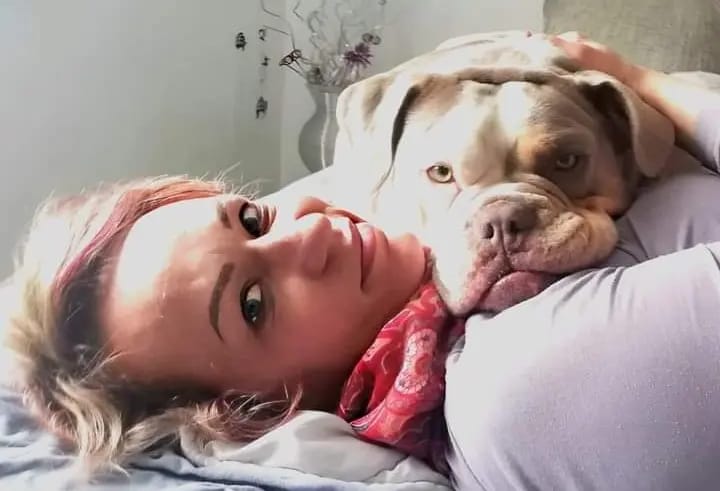 Heartbreaker-Bulldogs Buddy gallery image 2