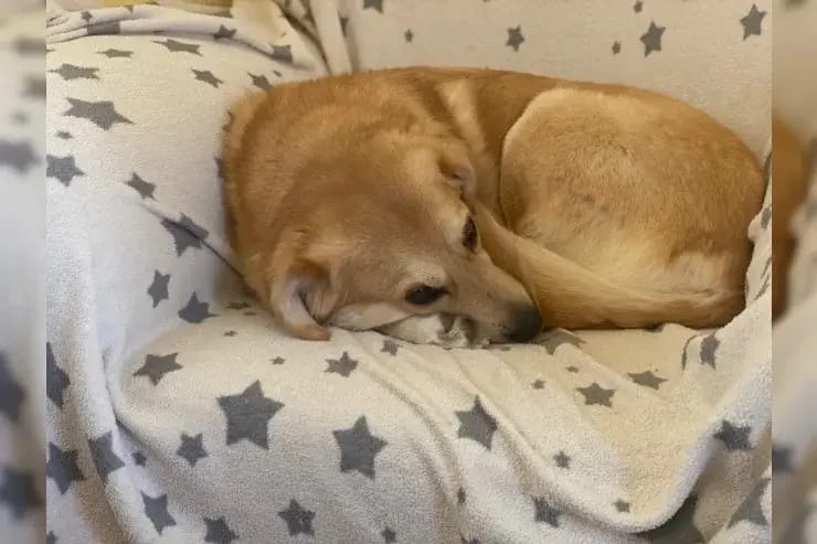 Larissa gallery image 4