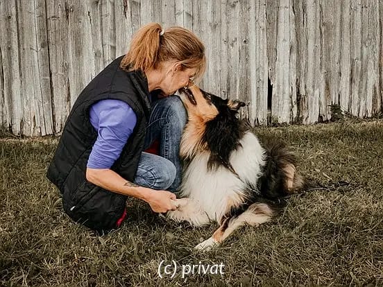 Collies vom Kath'lberg gallery image 3