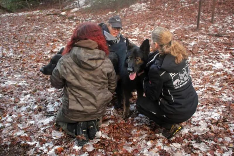 Fussel of Wolfcabs gallery image 4