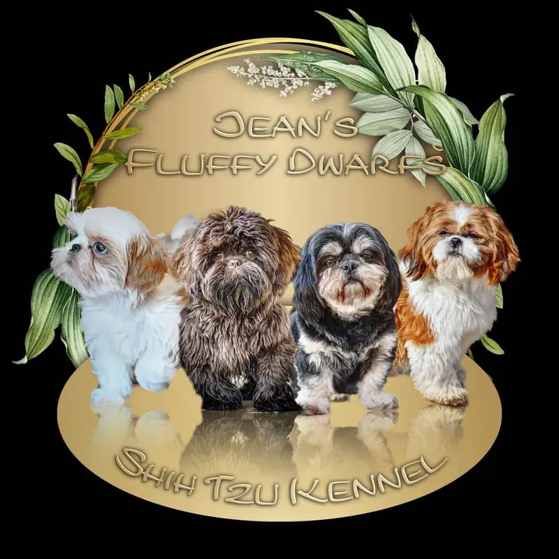 Witch's Cauldron Bulldogs Kennel gallery image 2