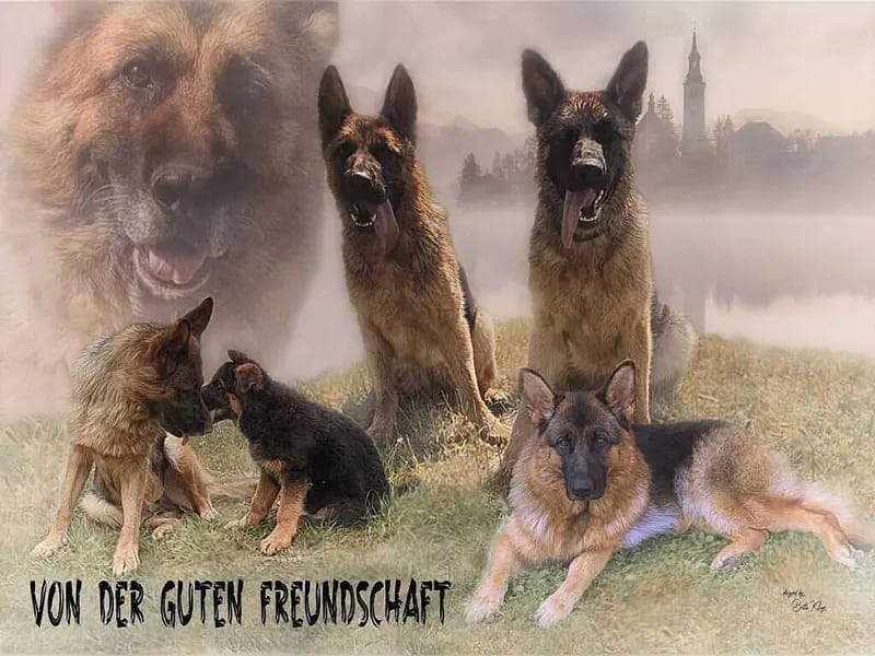Von der guten Freundschaft gallery image 2