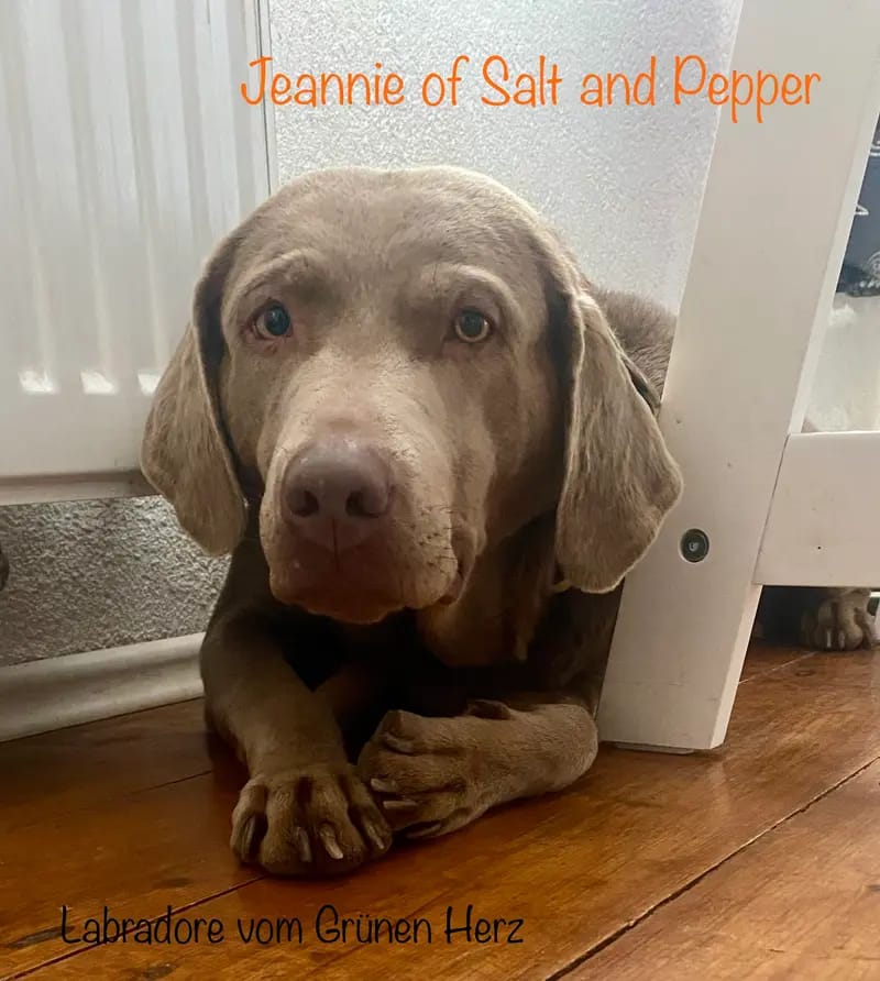 Jeannie of Salt and Pepper Name gallery image 2