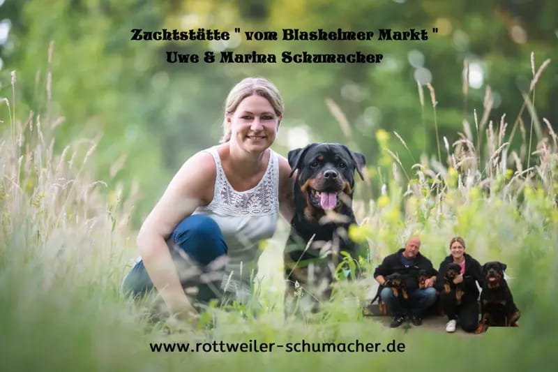 Amy vom Blasheimer Markt gallery image 2