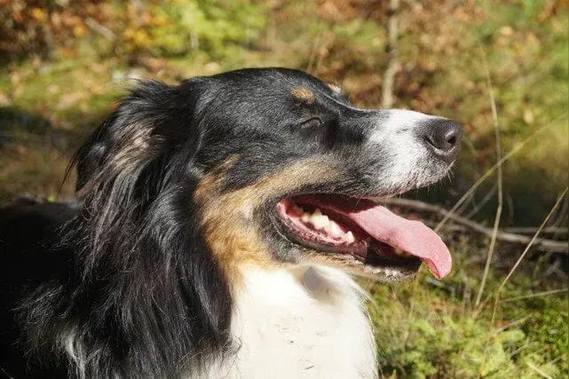 Sam gallery image 3