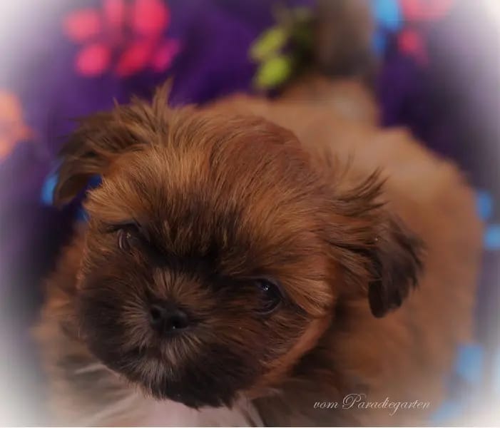 Lina gallery image 2