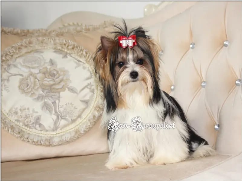 Gledi Garsia gallery image 2
