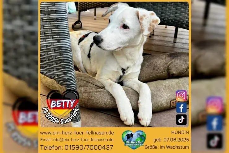 Betty gallery image 2