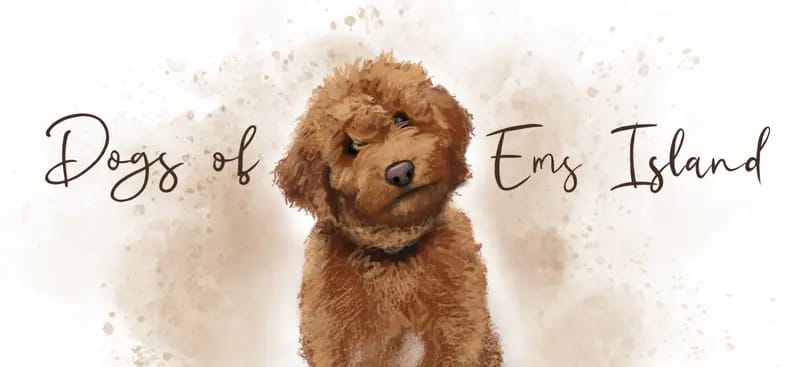 Dogs of Ems Island gallery image 2