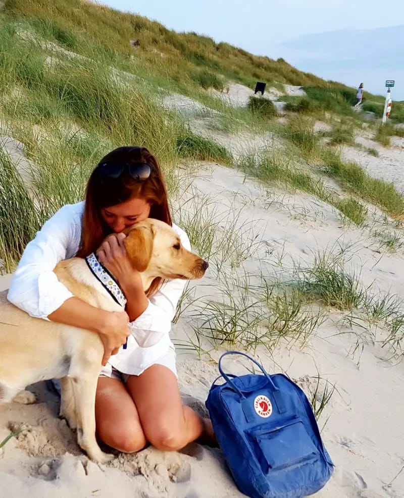 Aldagessem's Labradors gallery image 4