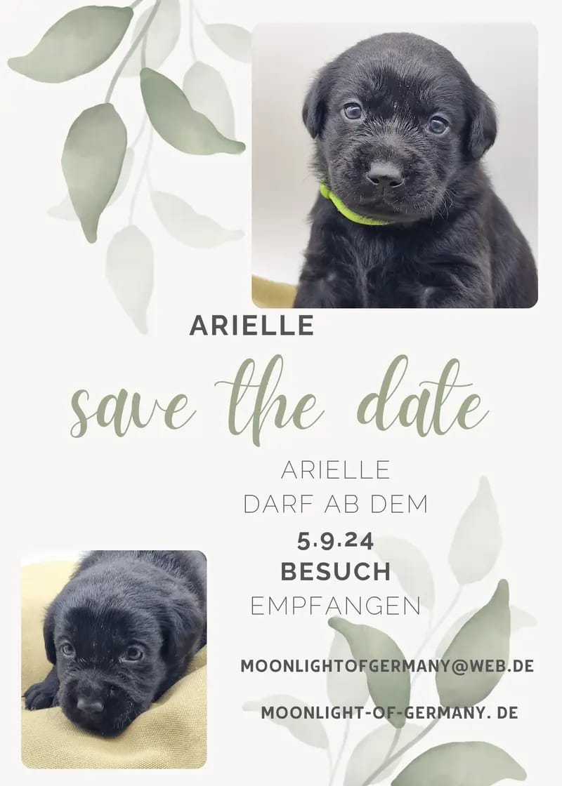 Arielle gallery image 4